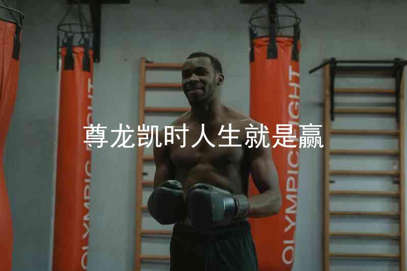 尊龙凯时人生就是赢