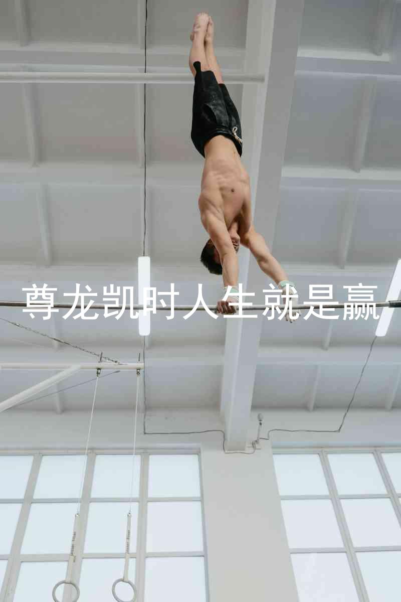 尊龙凯时人生就是赢