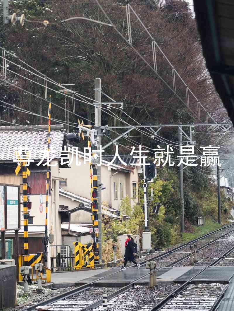 尊龙凯时人生就是赢