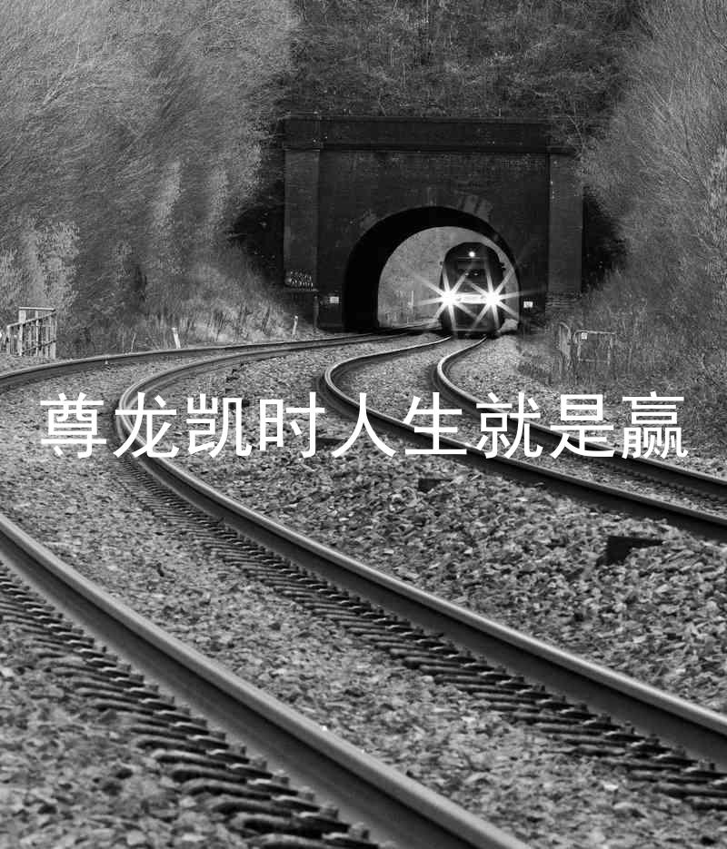 尊龙凯时人生就是赢