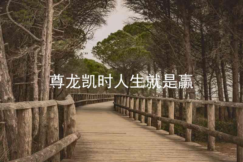 尊龙凯时人生就是赢