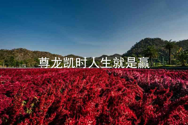 尊龙凯时人生就是赢