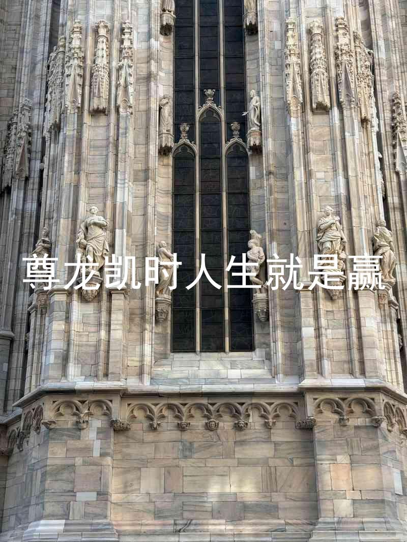 尊龙凯时人生就是赢