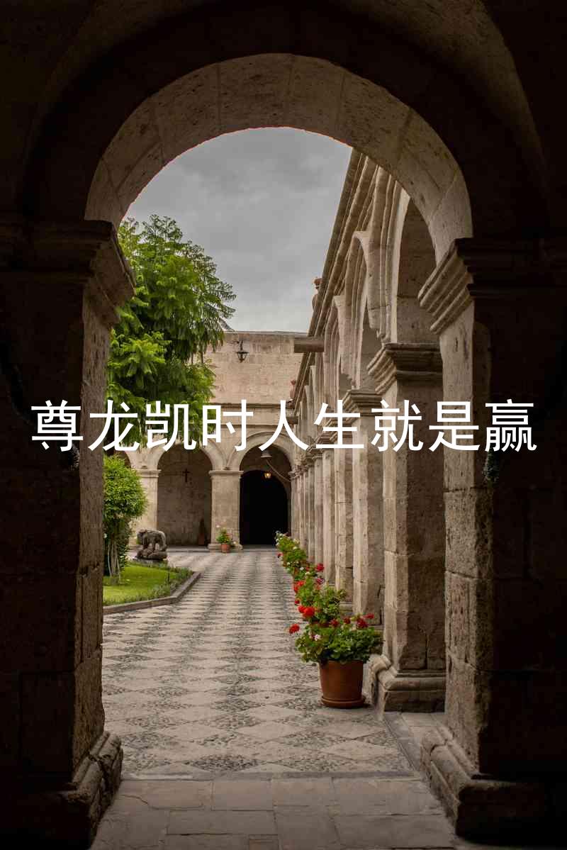 尊龙凯时人生就是赢