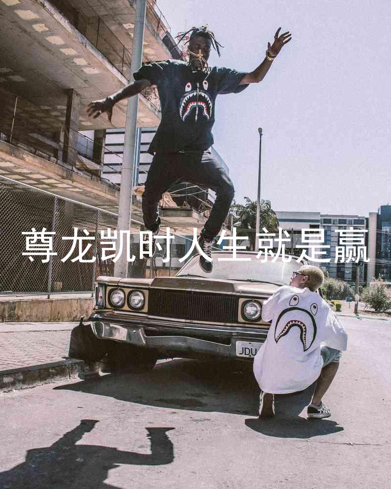 尊龙凯时人生就是赢