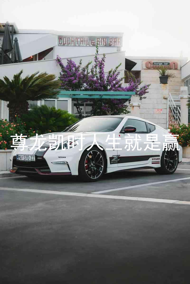 尊龙凯时人生就是赢