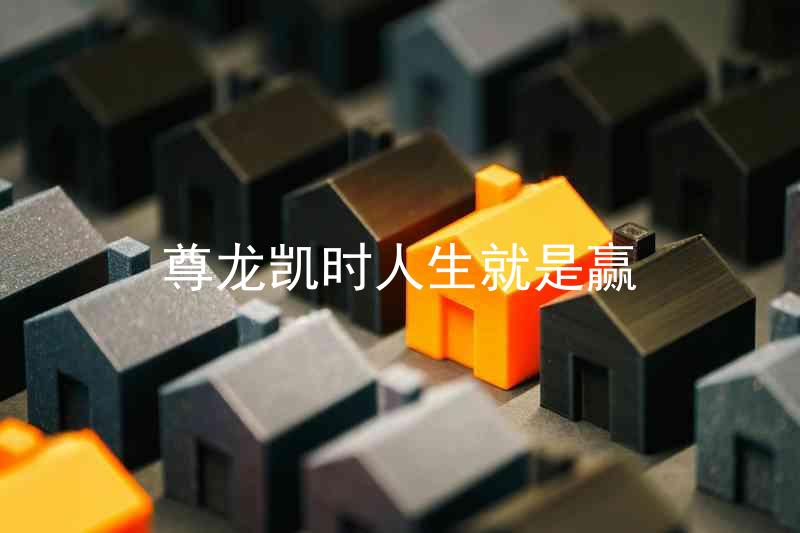 尊龙凯时人生就是赢