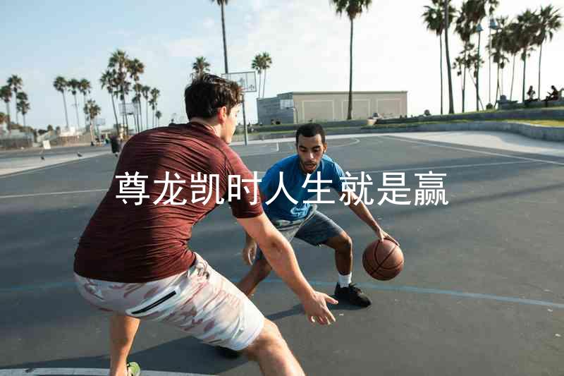 尊龙凯时人生就是赢
